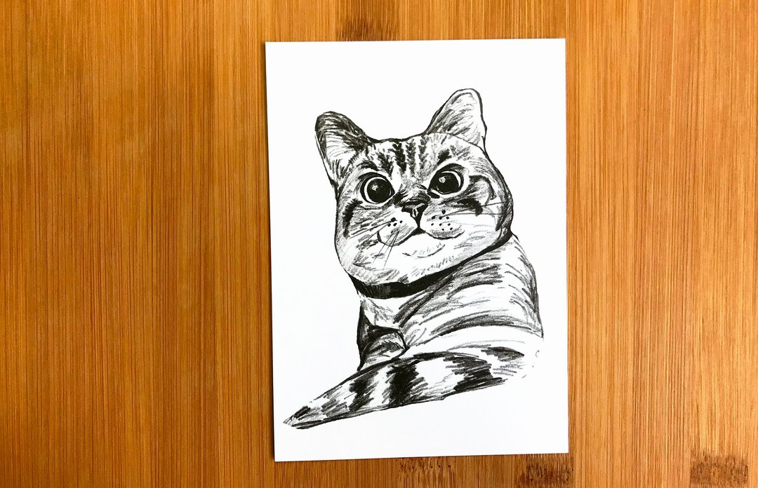 猫的表情 -- 虎斑万岁 - 卡片/明信片 - 纸 白色