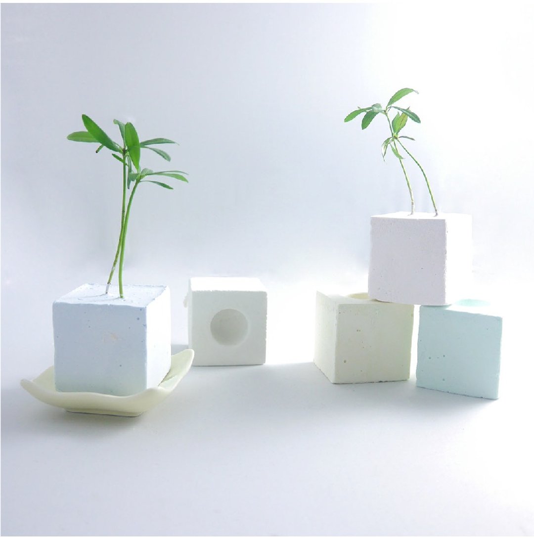 《环保盆栽》彩色造型培植块（含1株植物）预购 - 植栽/盆栽 - 植物．花 