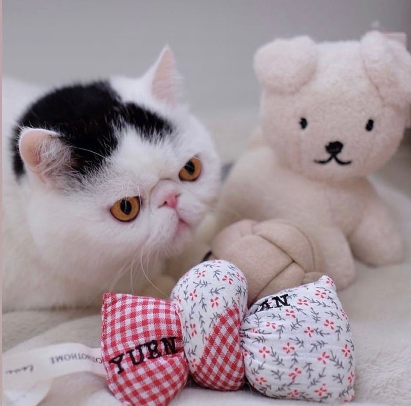 PILLOW TALK | 猫草包 猫玩具 - 玩具 - 棉．麻 红色