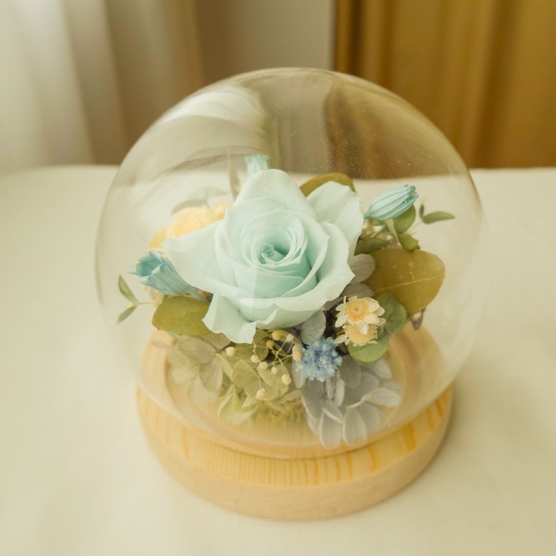 永生花玻璃盅-浅粉蓝 - 干燥花/捧花 - 植物．花 蓝色