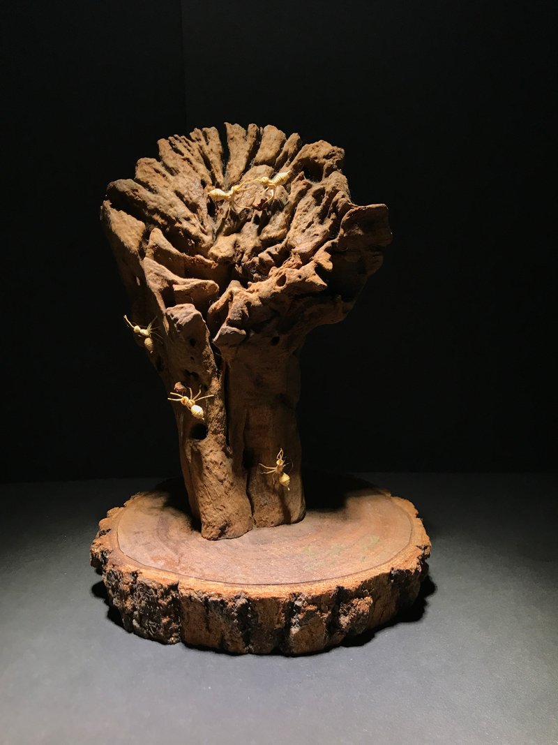 树皮艺术 台湾树艺再生之美 台湾身障树皮艺术家李永谟 蚂蚁 - 木工/竹艺/纸艺 - 木头 咖啡色