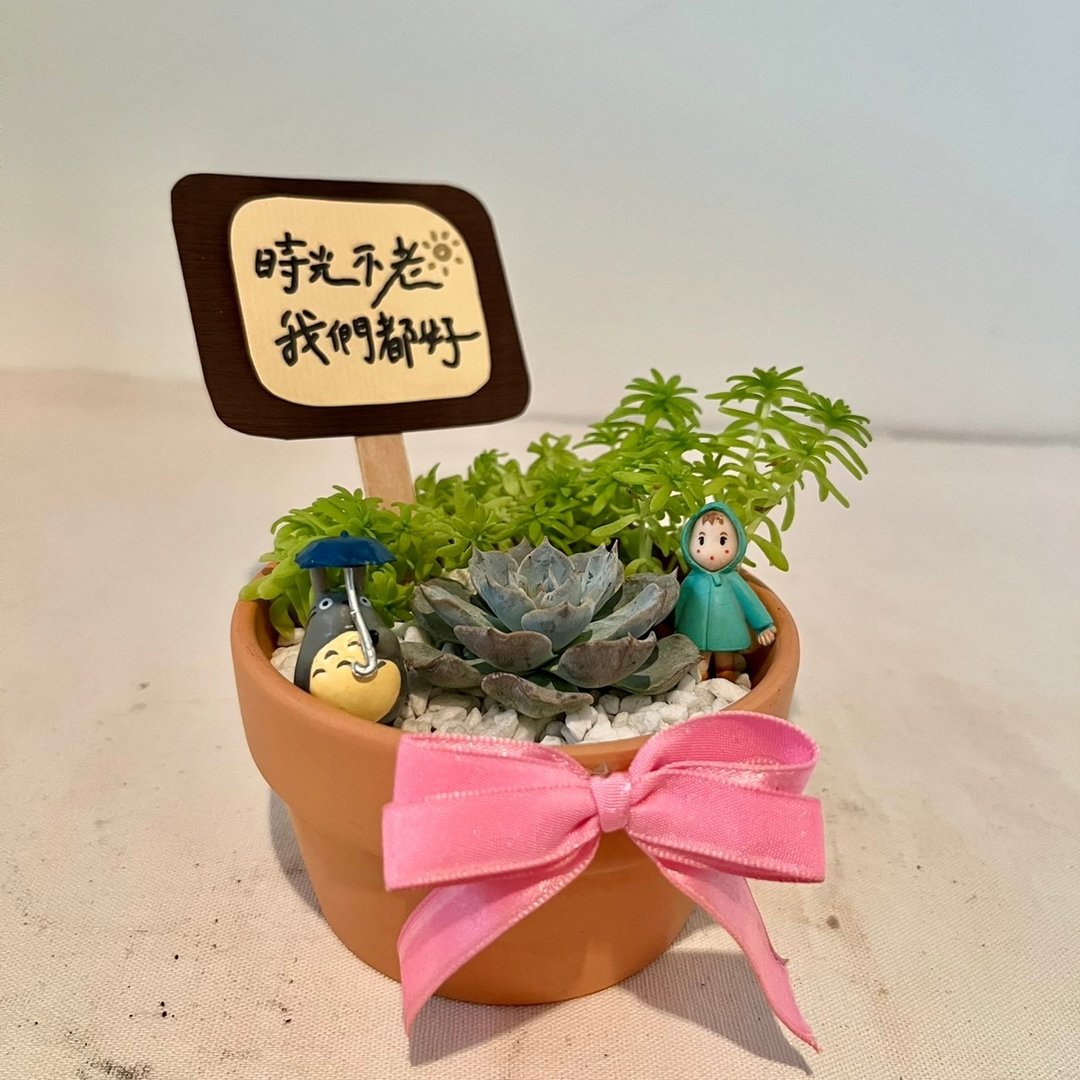 龙猫 吉卜力 (小盆) 开幕送礼 多肉组盆 多肉植物 创意盆栽 盆栽 - 植栽/盆栽 - 植物．花 绿色
