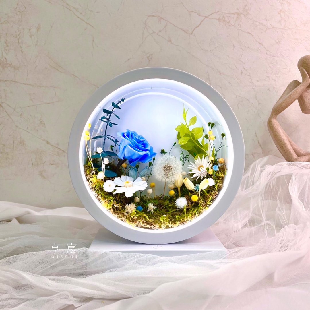 【送礼首选】草系蒲公英玫瑰 / 永生花三段触控氛围灯 / 定制 - 灯具/灯饰 - 植物．花 
