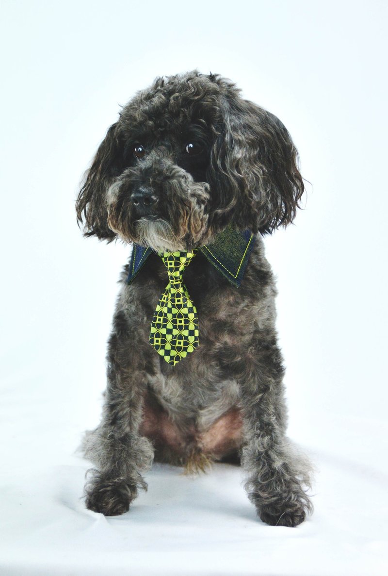 宠物单面衬衫领- 黄蓝色YE (XS/S/M/L) - 衣/帽 - 其他材质 蓝色