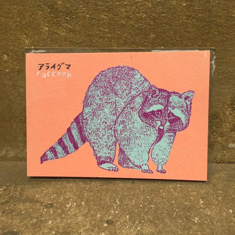 可以顺便学习英日语的浣熊明信片-粉橘.浅绿.紫 - 卡片/明信片 - 纸 粉红色