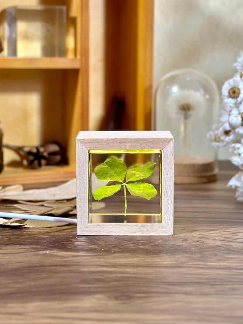 客製四葉草真植物手作夜燈幸運禮物 - 摆饰 - 树脂 绿色