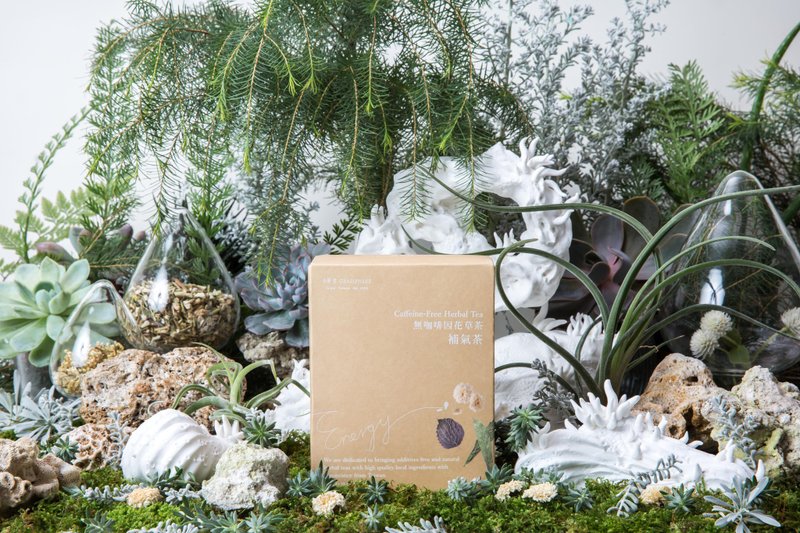 无咖啡因调理茶【紫苏紫锥花复方补气茶】 (附礼袋与心意小卡) - 茶 - 新鲜食材 橘色