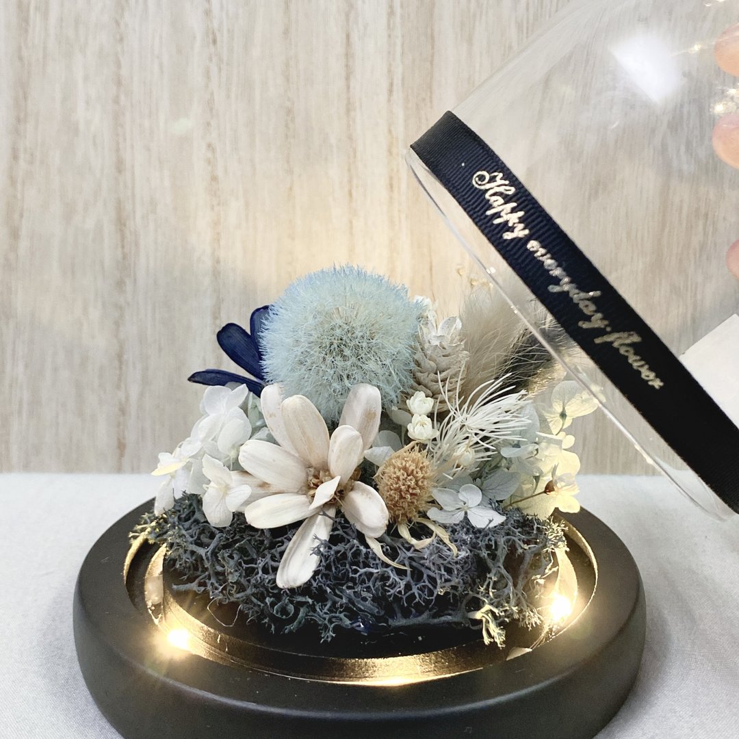 【星夜飞舞】永生蒲公英罩花-夜空版Yuflorist - 灯具/灯饰 - 植物．花 多色