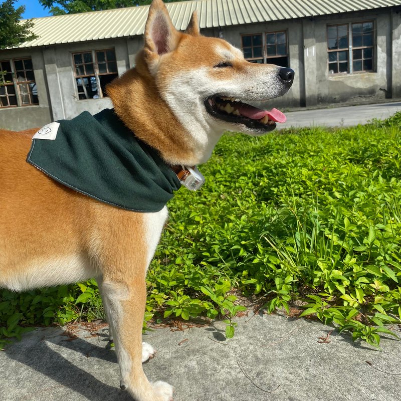 【ZhiZhiRen】三角花边领巾-双面花色-宠物领巾 - 订制抱枕/饰品 - 棉．麻 多色