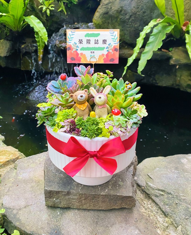 【急单可】免费定制卡片/安全运送/多肉盆栽/陶瓷花盆/赠送公仔 - 植栽/盆栽 - 植物．花 绿色
