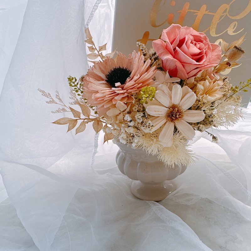 芙洛拉圆舞曲 干燥花 干燥花盆 永生盆花 毕业礼物 花礼 永生花 - 干燥花/捧花 - 植物．花 粉红色