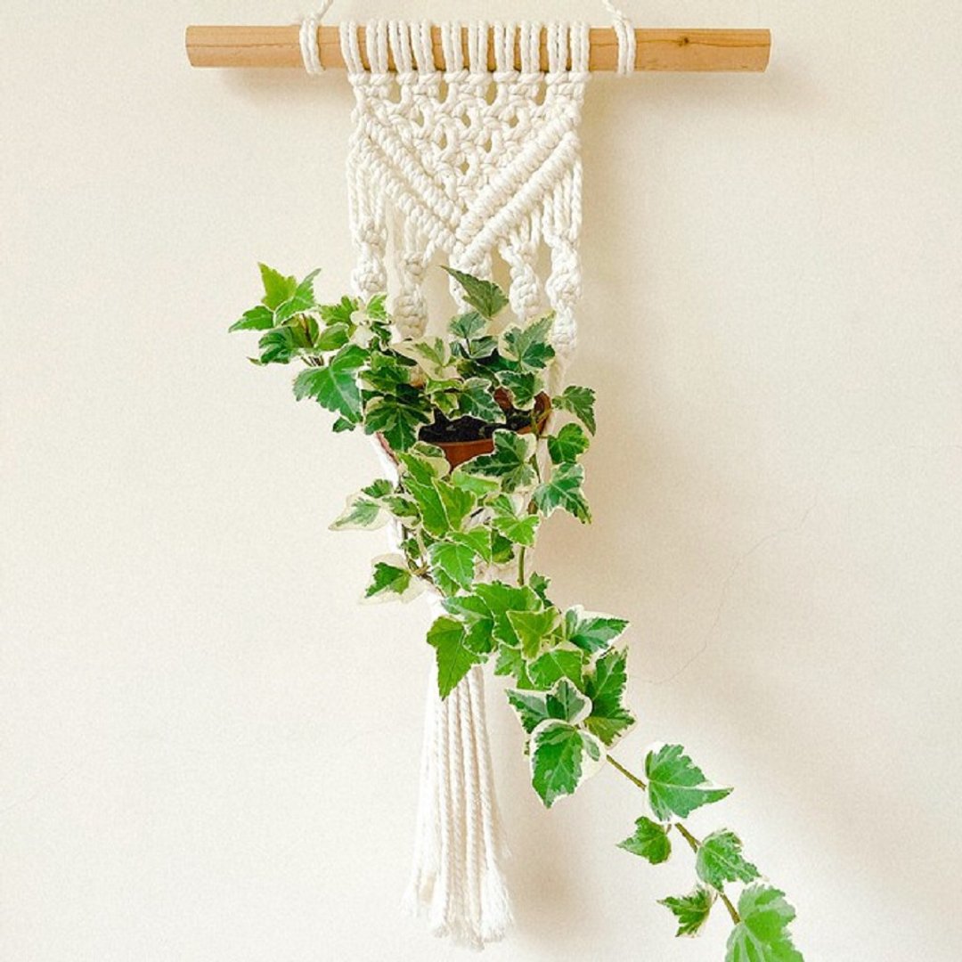 macrame 盆栽壁飾 編織植物壁掛 - 摆饰 - 棉 