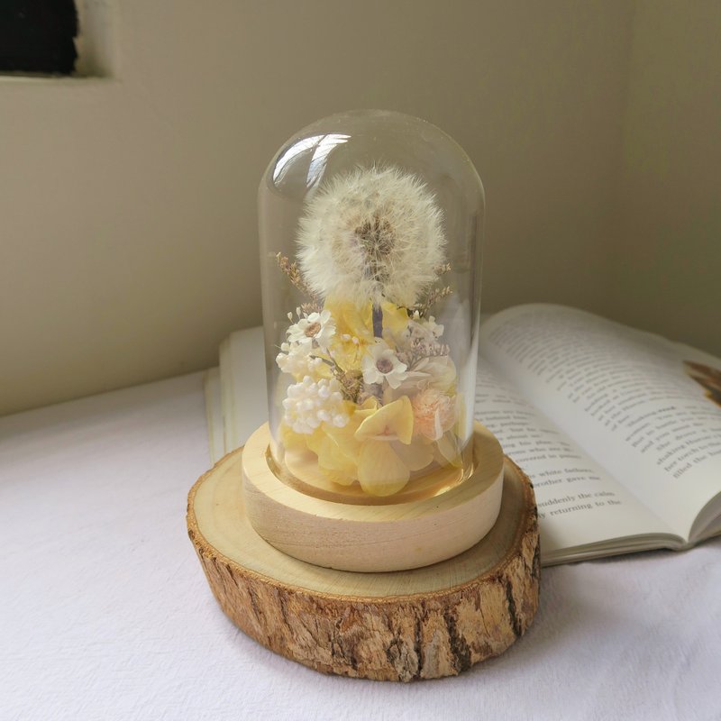 心愿玻璃球 / 蒲公英 玻璃罩 母亲节 干燥花 永生花 - 干燥花/捧花 - 植物．花 黄色