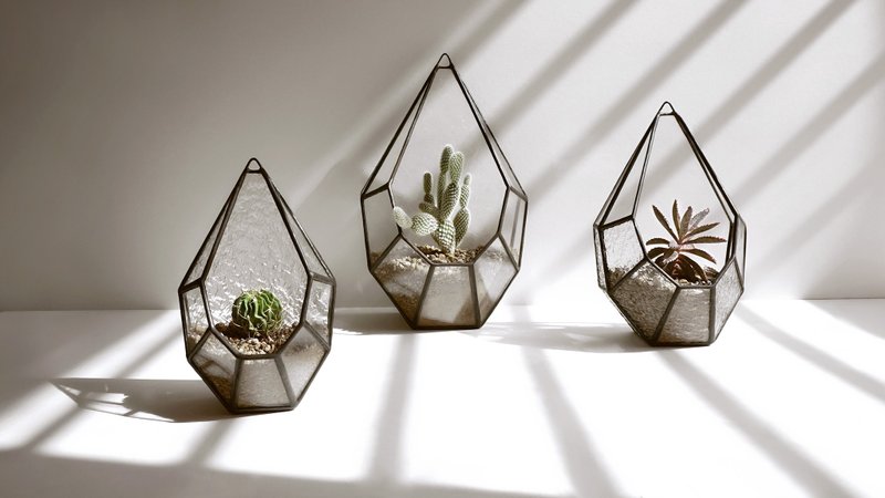 日光小露台-L / 花房 烛台 吊饰 摆饰 LUMIROOMI 镶嵌玻璃 - 植栽/盆栽 - 玻璃 透明