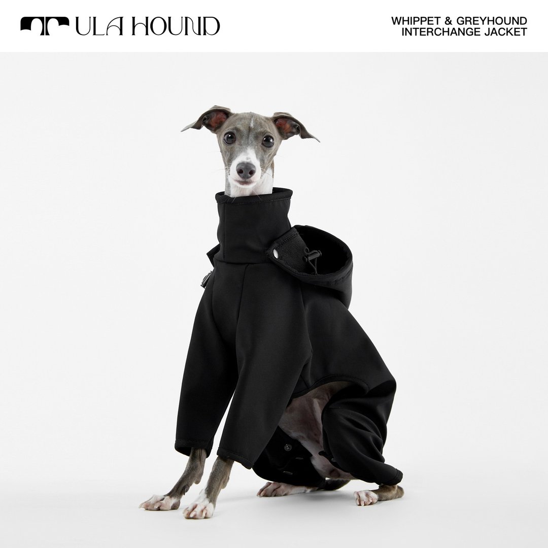 UlaHound 宠物秋冬冲锋衣灵缇犬iggy/惠比特犬/猎犬 - 衣/帽 - 防水材质 多色