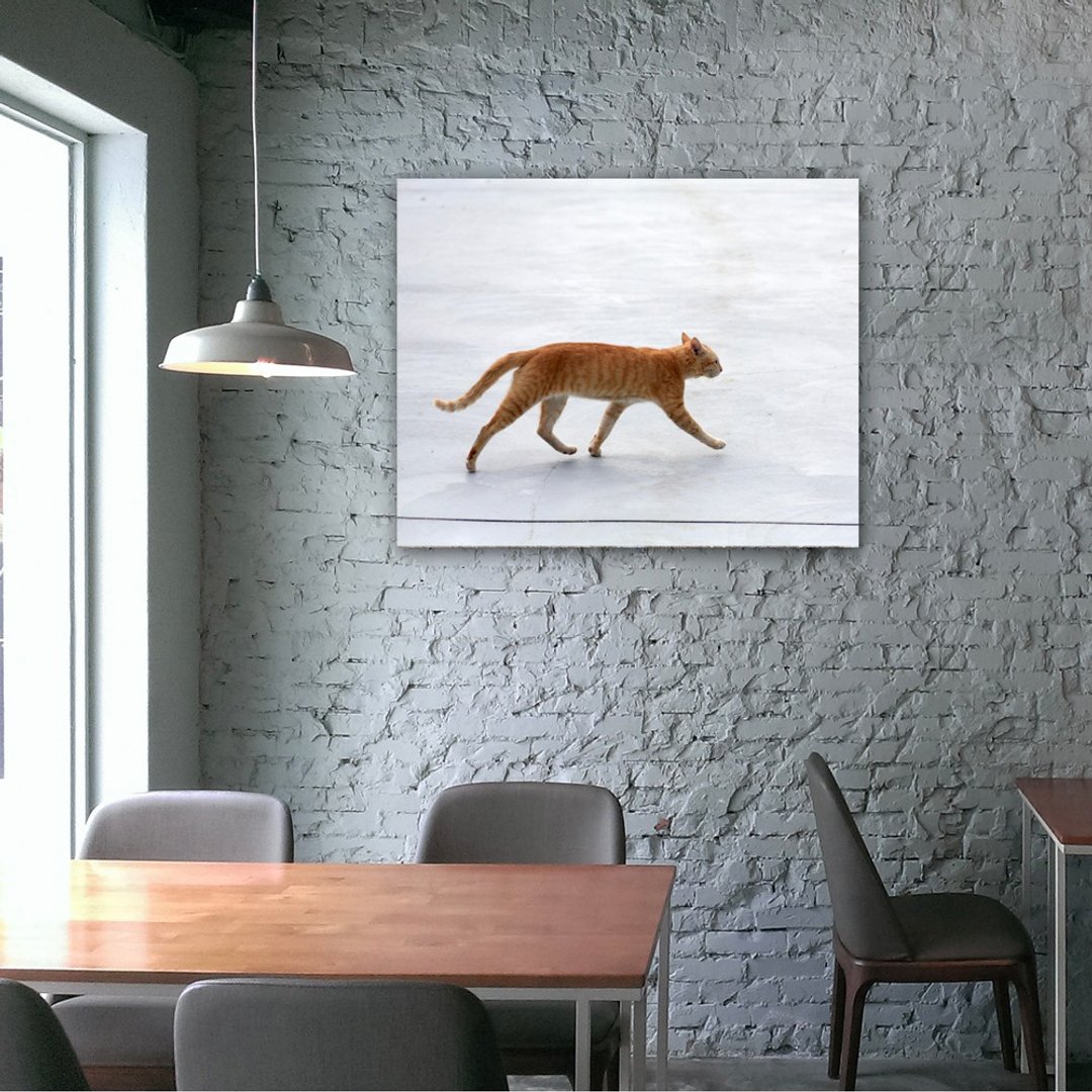 无框复制画 | 流浪橘猫A0011 | K艺术家 - 海报/装饰画/版画 - 其他材质 多色