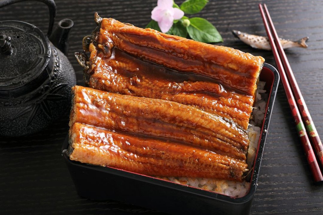 日式蒲烧鳗250g - 其他 - 其他材质 