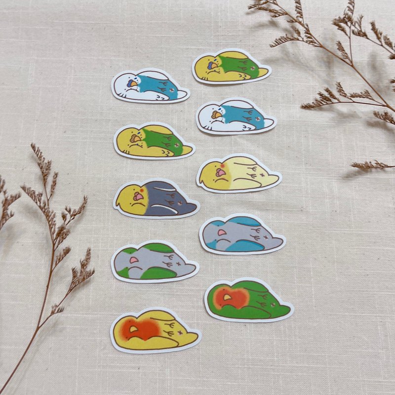 【小鸟躺躺】虎皮鹦鹉 玄凤鹦鹉 爱情鸟 和尚鹦鹉 鹦鹉 - 贴纸 - 纸 多色