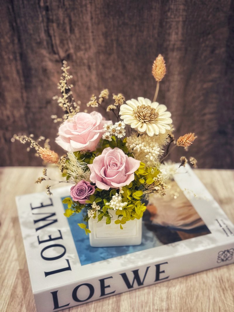 干燥花盆花 永生不凋花/生日礼物/开幕贺礼/乔迁之喜/母亲节/摆饰 - 干燥花/捧花 - 植物．花 