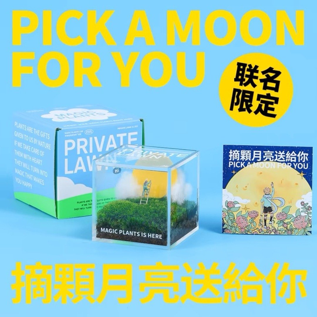 神奇植物私人草坪苔藓微景观办公室桌面室内盆栽好养绿植创意礼物 - 植栽/盆栽 - 植物．花 多色