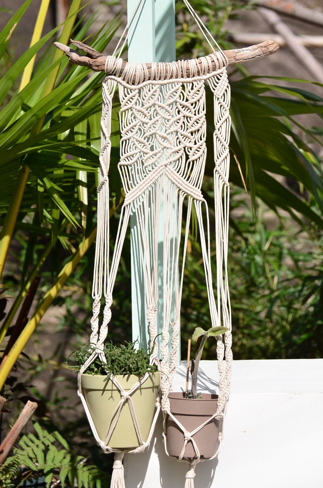 Macrame 编织植物吊篮 (可挂墙, 承载2个盆栽) - 植栽/盆栽 - 棉．麻 