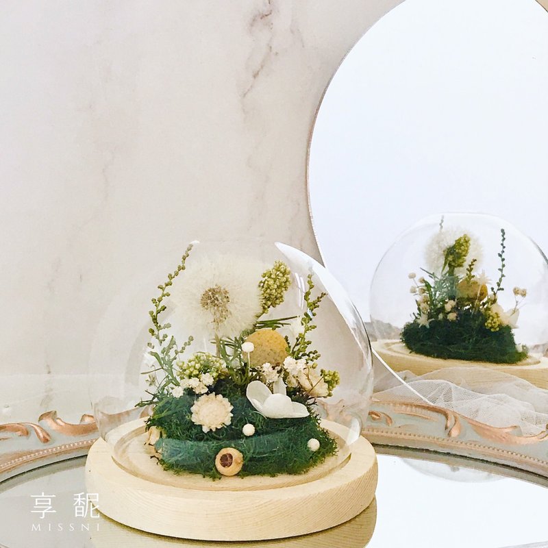 清新草系蒲公英水晶球 / 订制 / 桌花 / 毕业 - 干燥花/捧花 - 植物．花 