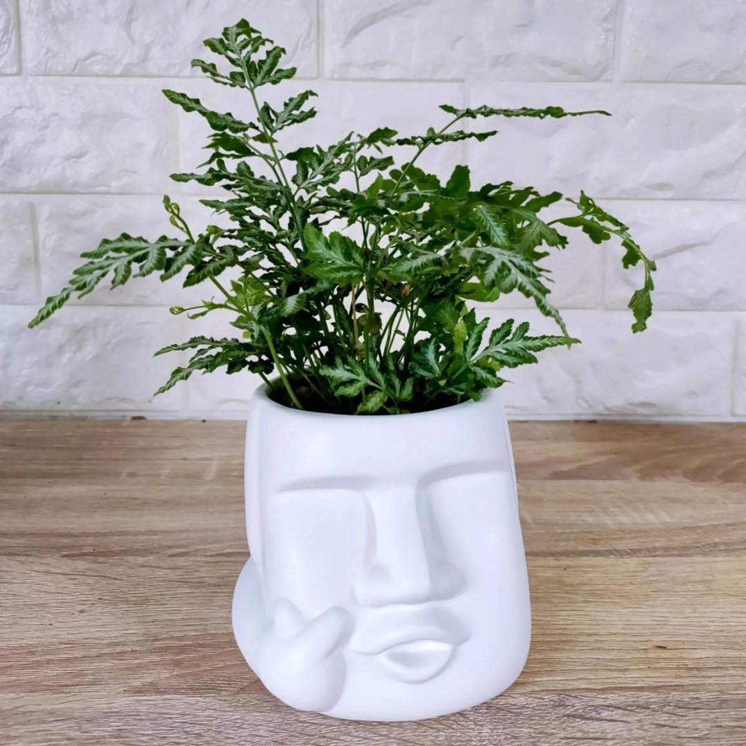 让我趴一下(摩艾花器) / 可自取 - 花瓶/陶器 - 瓷 多色