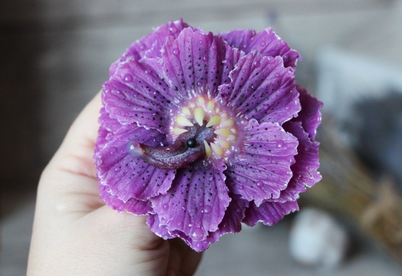 Goth jewelry Creepy flower brooch Purple toothy flower - 胸针 - 粘土 紫色