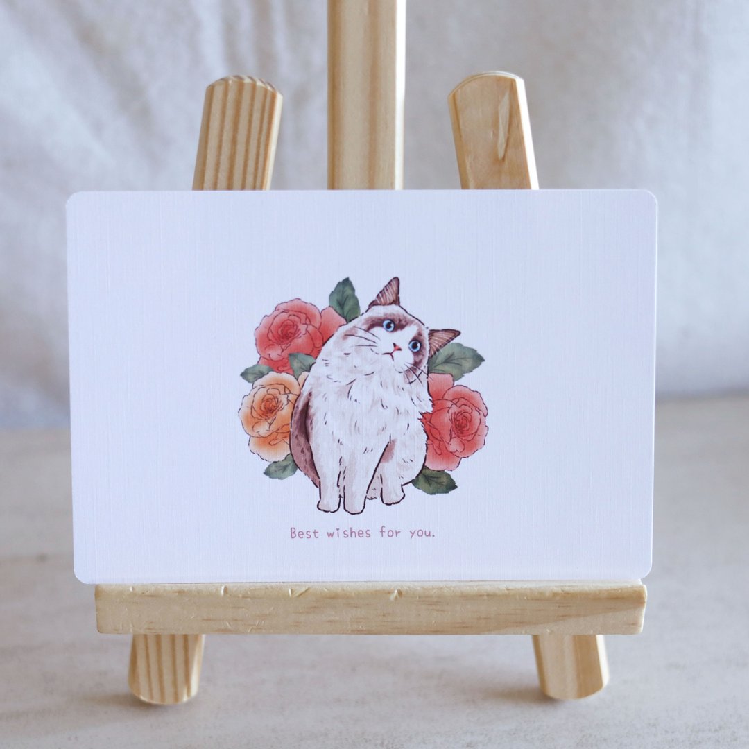布偶猫猫明信片卡片 万用卡 贺卡 文创 布偶猫 猫咪 可爱 - 卡片/明信片 - 纸 白色