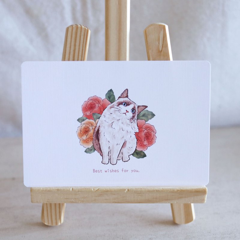 布偶猫猫明信片卡片 万用卡 贺卡 文创 布偶猫 猫咪 可爱 - 卡片/明信片 - 纸 白色