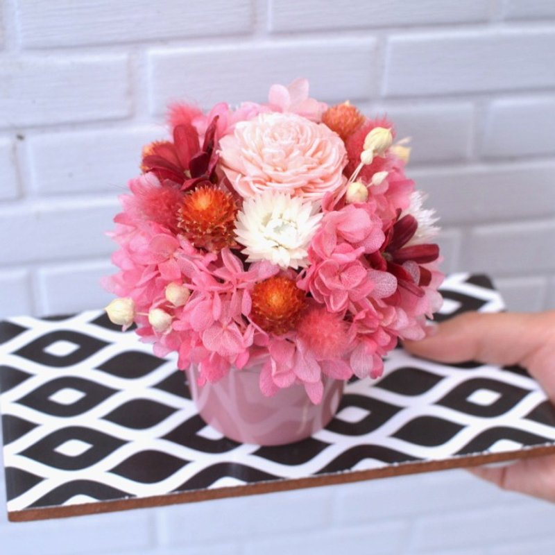 花漾圆舞曲二代-红莓粉-盆栽/桌花/干燥花/不凋花/扩香花/情人节 - 植栽/盆栽 - 植物．花 粉红色