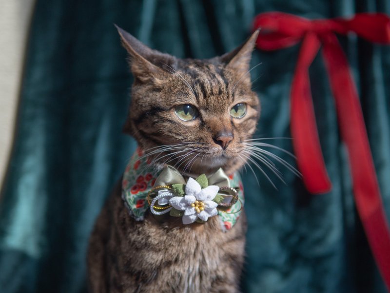 【圣诞系列】宠物领巾 猫咪/狗狗 圣诞花领巾 - 白色 - 项圈/牵绳 - 棉．麻 白色