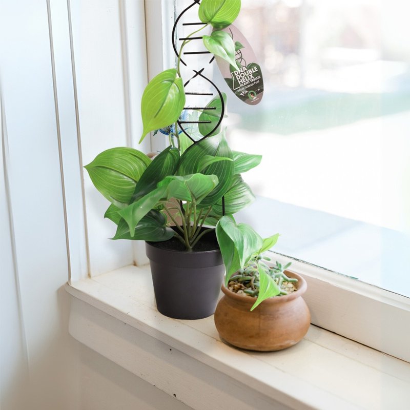 DNA双股螺旋植物攀爬架 - 植栽/盆栽 - 塑料 