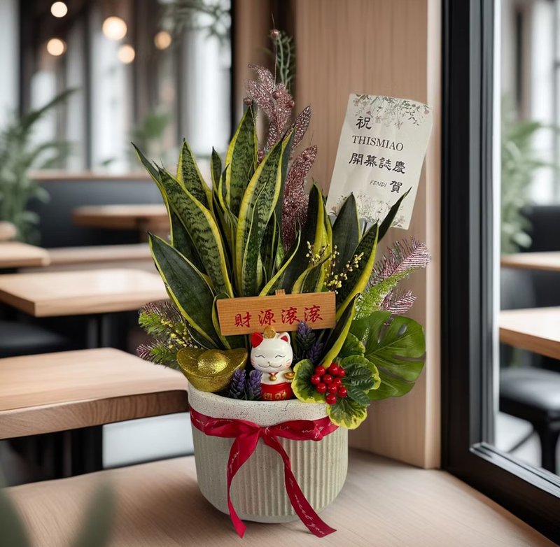 【开幕送礼首选】虎尾兰桌上型组合盆栽 开幕新居乔迁升官送礼 - 植栽/盆栽 - 陶 