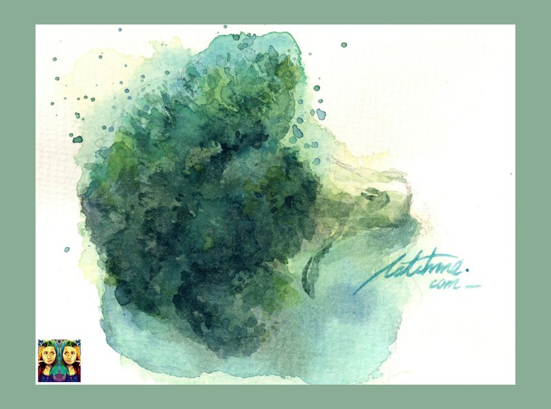 花椰菜_手绘原作(仅此一件) - 订制画像 - 纸 