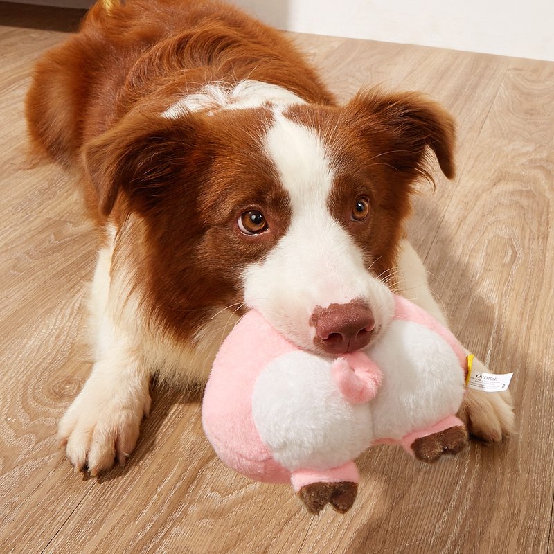 【犬猫玩具】Petsville派思维 毛绒发声屁股造型玩具(7款) - 玩具 - 玩具 - 聚酯纤维 多色