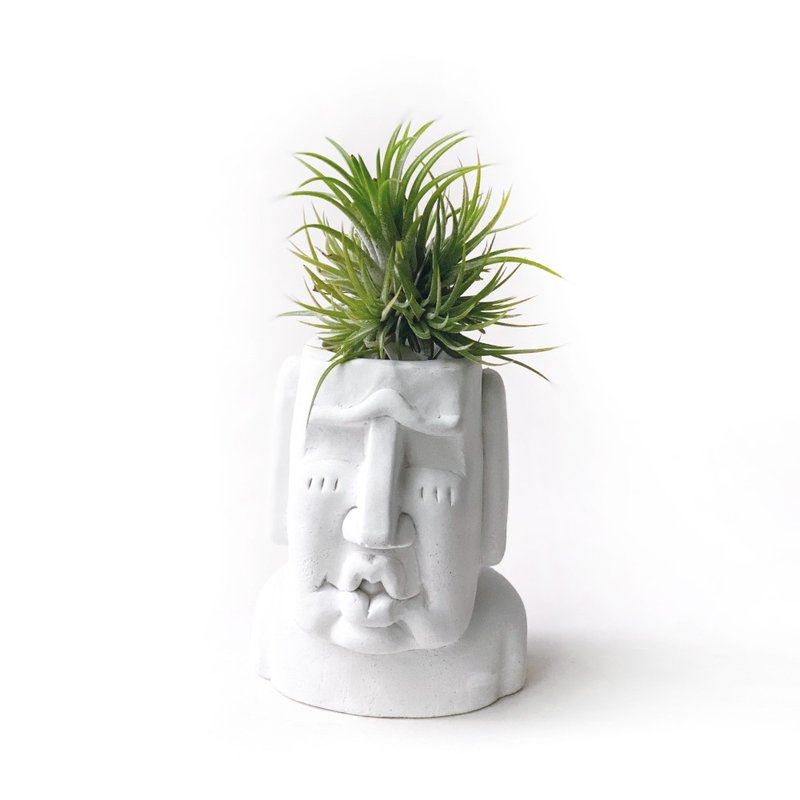 群生Plastic小精灵 空气凤梨 搭配色色摩艾水泥盆盆 - 植栽/盆栽 - 植物．花 灰色