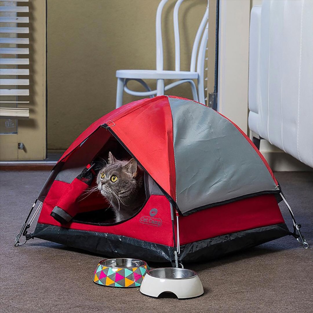 CatCamp猫咪露营帐篷-热情红 - 床垫/笼子 - 塑料 