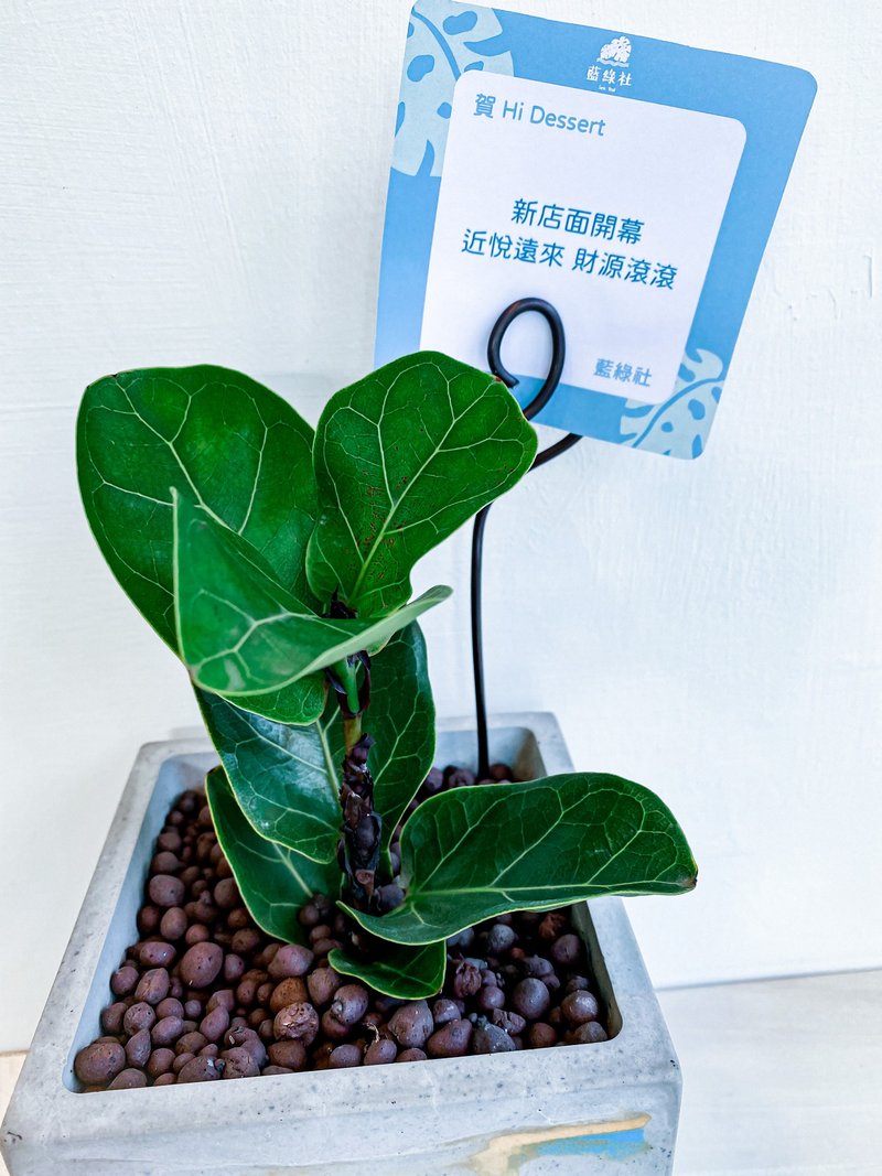 送礼小卡加购区 - 卡片/明信片 - 纸 绿色