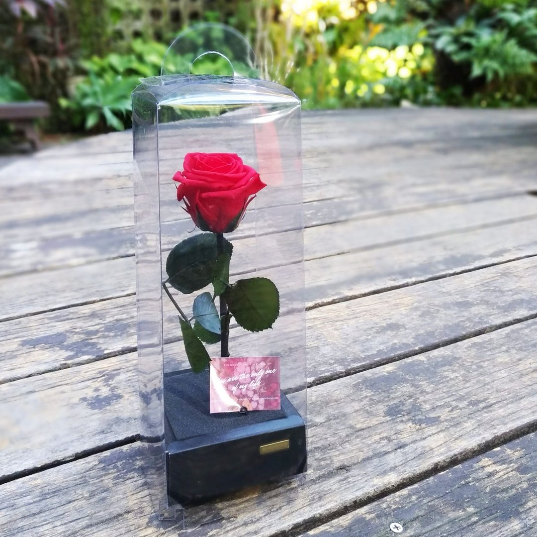 情人节 玫瑰花 永生花 - 干燥花/捧花 - 植物．花 红色