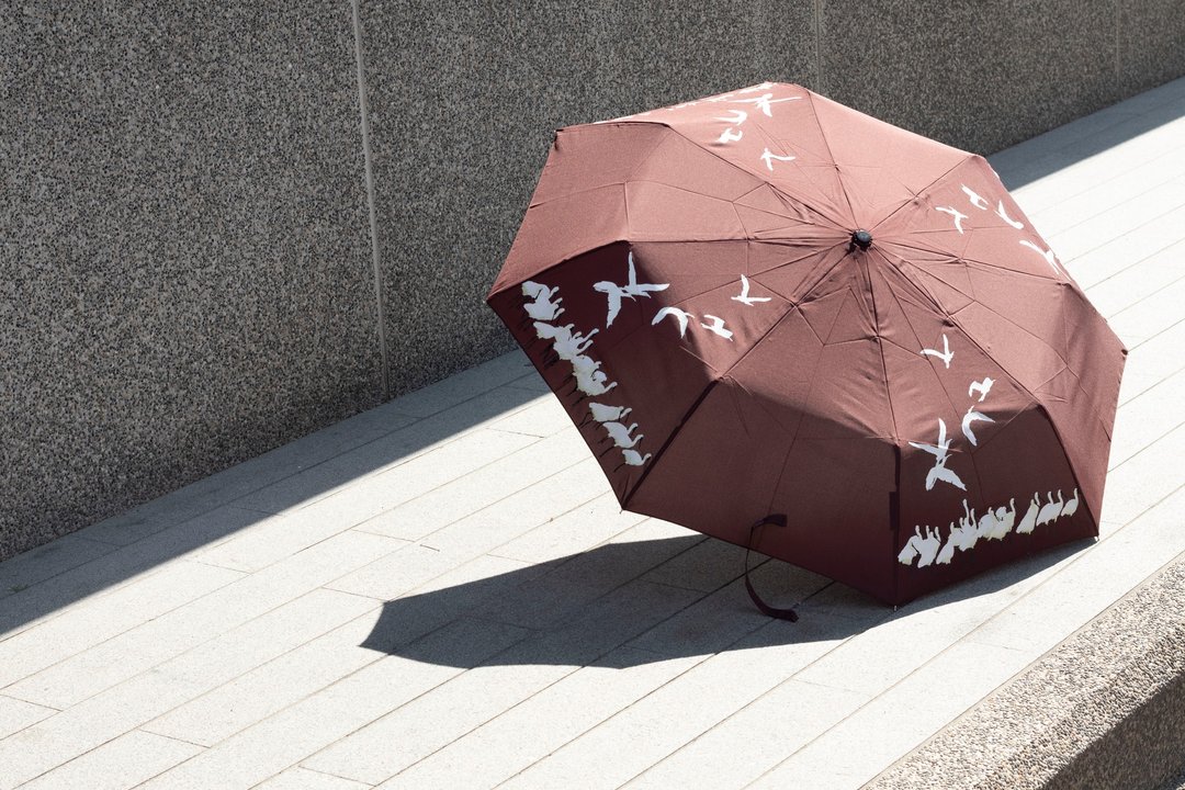 UrbaneUmbrella 黑面琵鹭遇水变色伞 - 雨伞/雨衣 - 其他人造纤维 多色