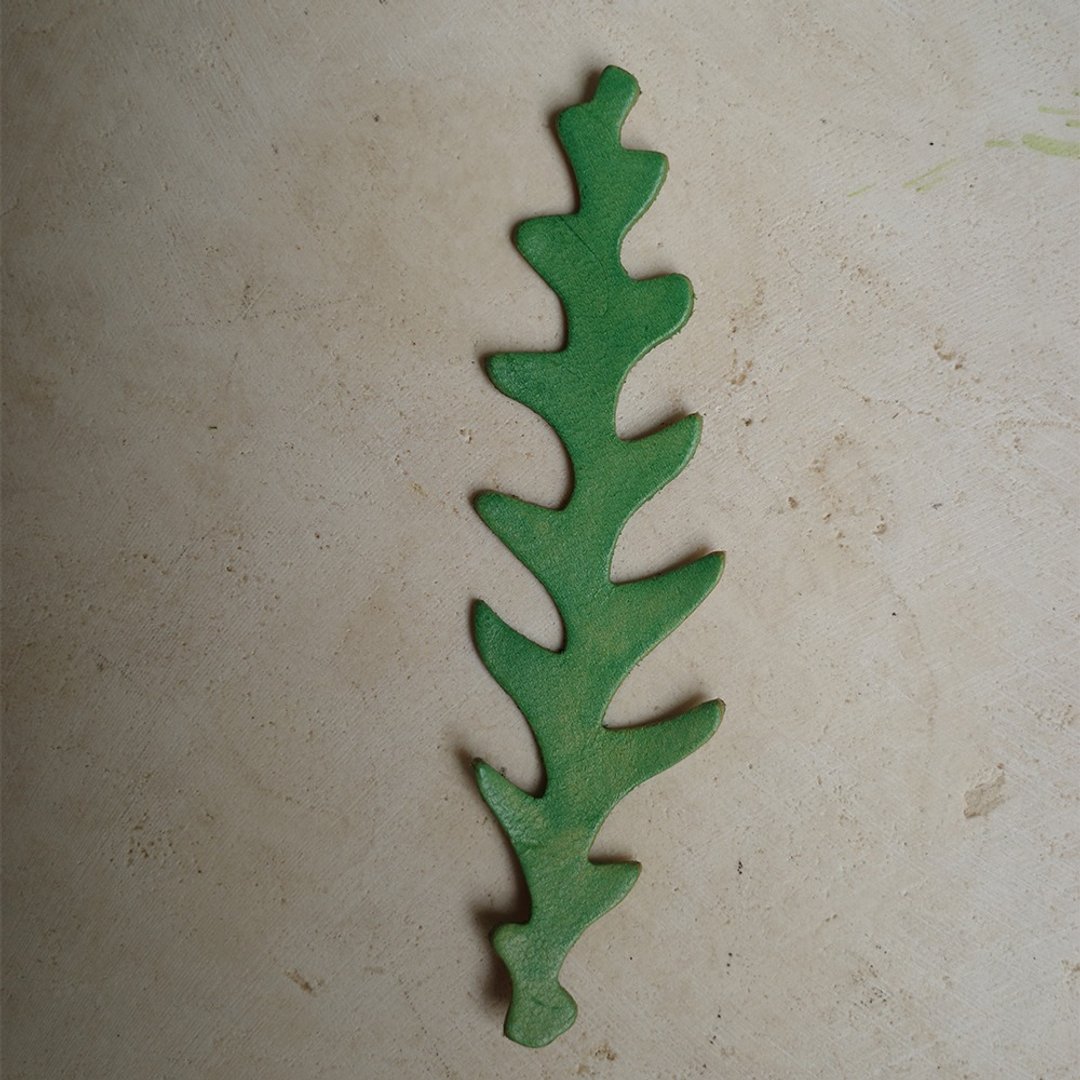鱼骨令剑 Disocactus anguliger - 摆饰 - 真皮 绿色