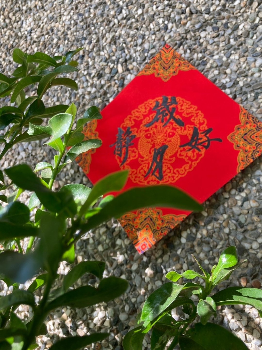 【2025祥蛇年】原创手写手绘春联。岁月静好 - 红包/春联 - 纸 红色