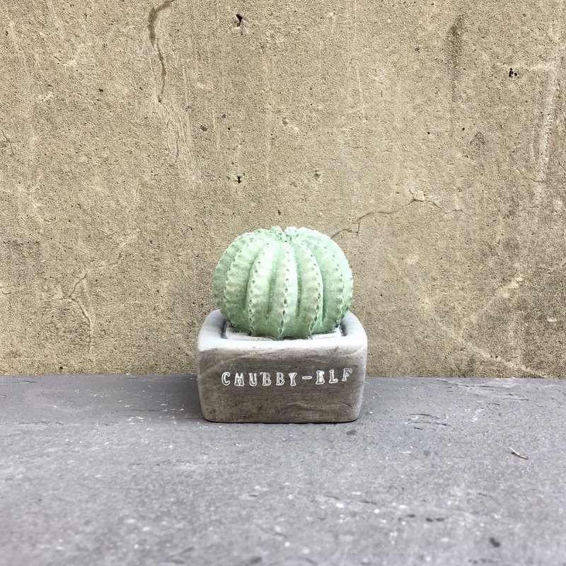 多肉盆栽扩香石 - 香薰/精油/线香 - 其他材质 绿色