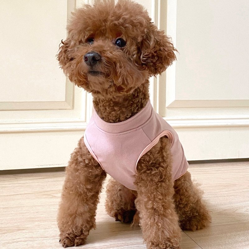 舒柔比比衣(蓝莓奶酪抹酱)_Bebe4系列_S-6L,FB 柔软弹性 - 衣/帽 - 聚酯纤维 