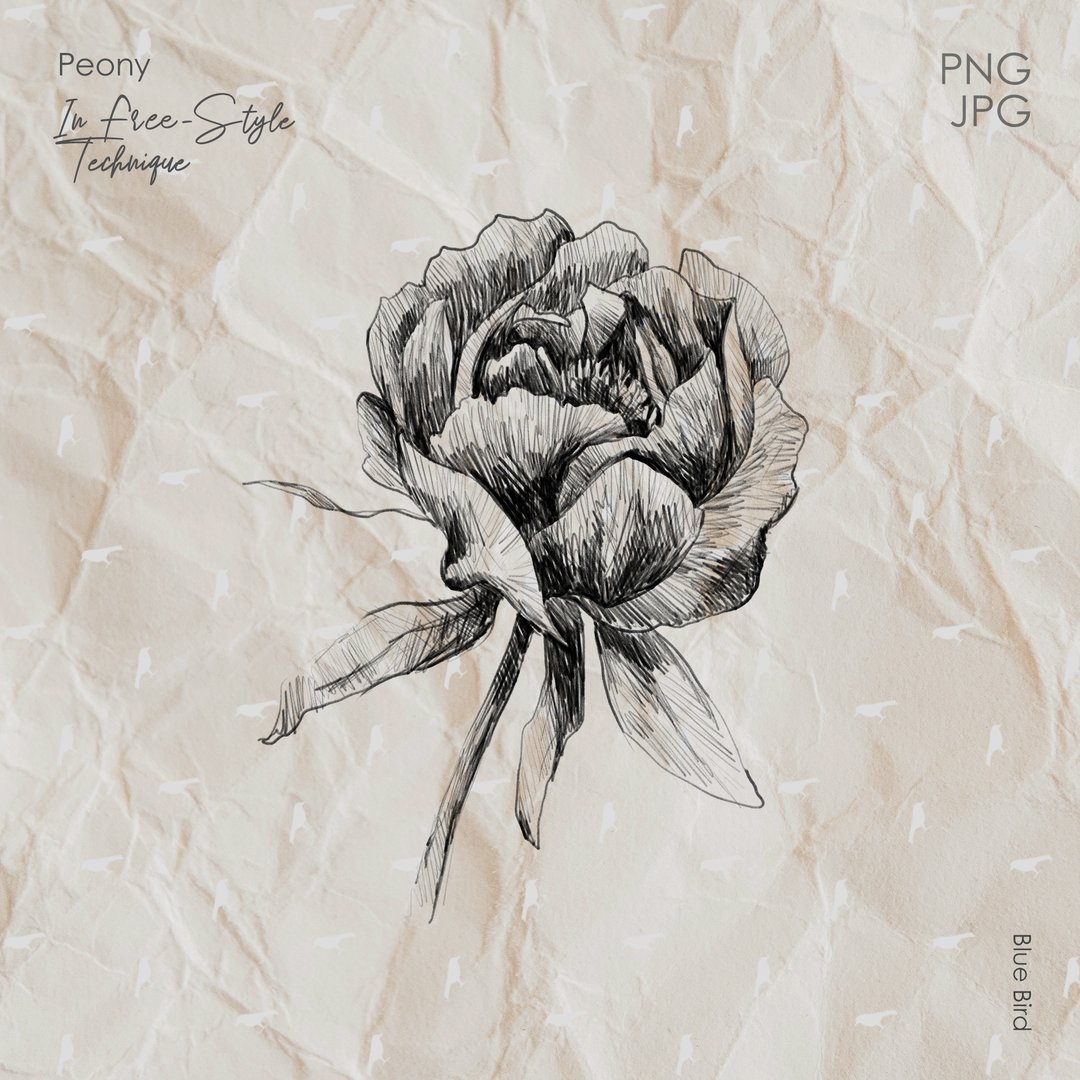 Peony flower. Botanical digital art - 其他数码设计 - 其他材质 