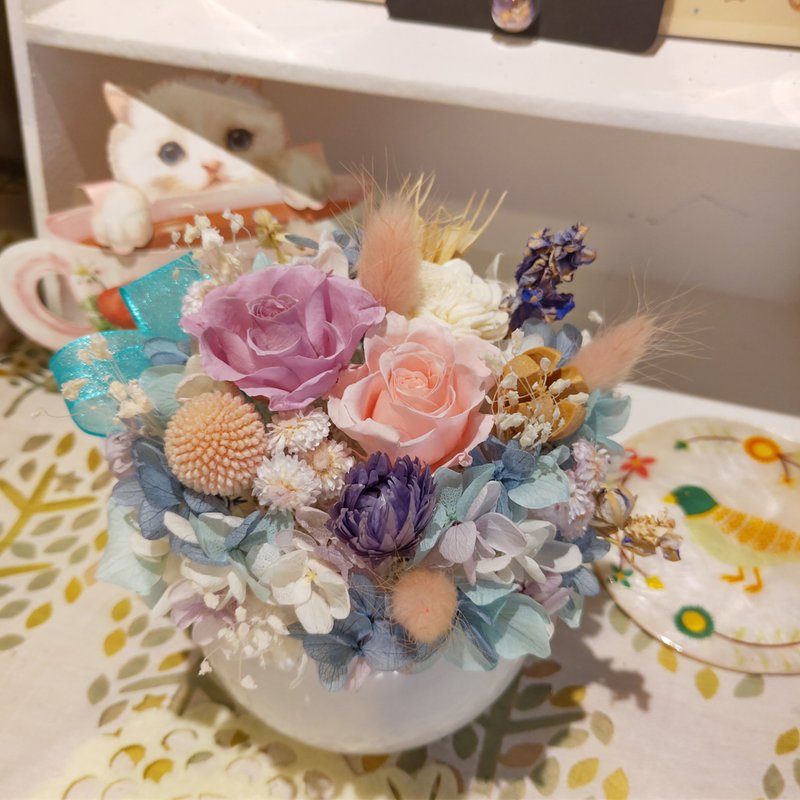 漫森态 盆花/不凋花/干燥花 - 干燥花/捧花 - 植物．花 多色