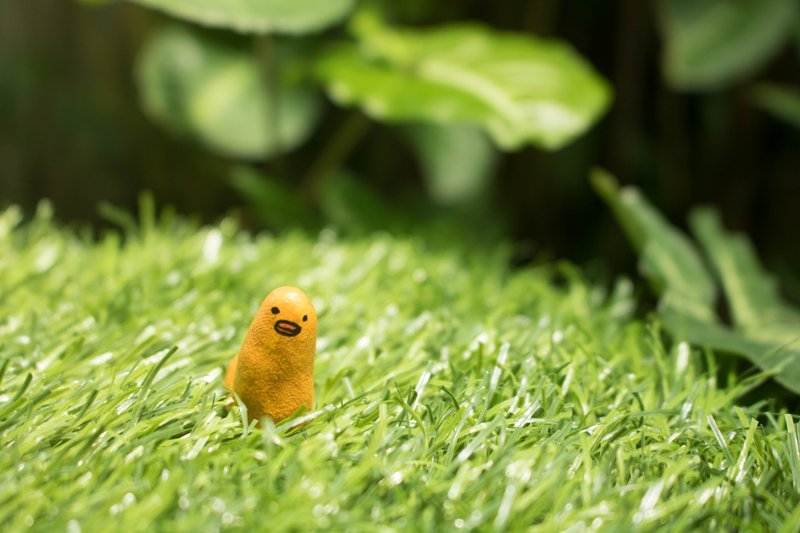 鸭子摆饰 - 摆饰 - 粘土 