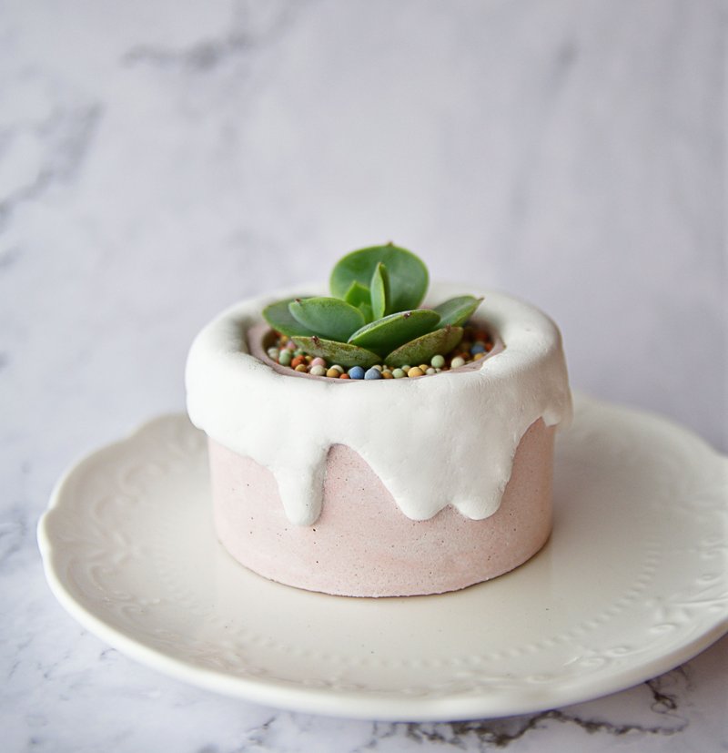 ∣每天莓烦恼∣手作泥盆/多肉甜点造型植栽/接单订制商品 - 植栽/盆栽 - 水泥 粉红色