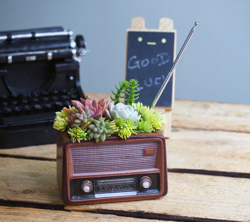 疗愈系列 | 50年代复古收音机疗愈多肉植物盆栽 - 植栽/盆栽 - 树脂 